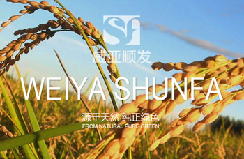 熱烈祝賀江蘇順發(fā)米業(yè)有限公司網站全新上線?。。? /></A>    
     <div   id=